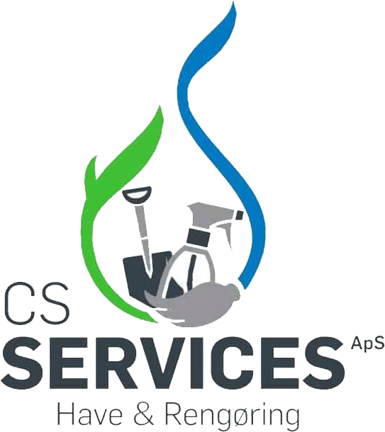 CS Services
